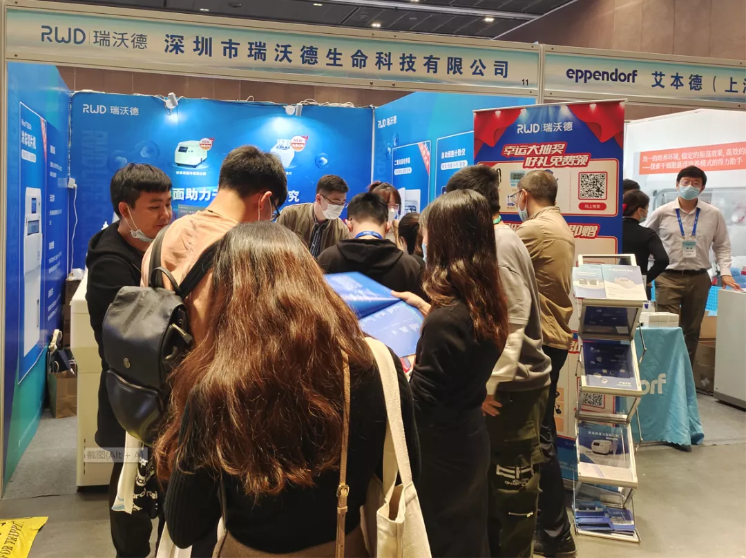 3-k8凯发展台备受瞩目.png