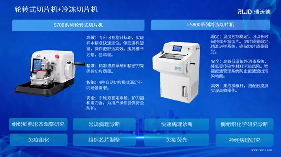8-k8凯发组织病理方案.png