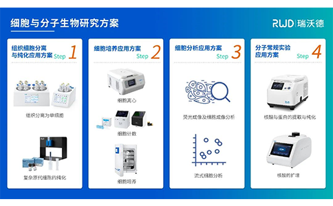 k8凯发细胞与分子生物研究方案
