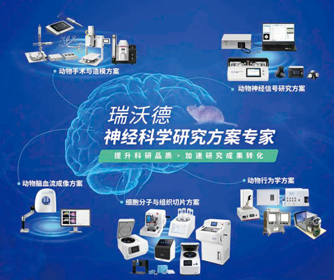 中国神经科学学会第十六届全国学术会议暨第二届中日韩国际会议（以下简称“CNS大会”）将于2023年7月27日-30日在珠海国际会展中心召开。作为我国神经科学领域规模盛大、学术水平高超的学术会议，CNS大会专注于脑科学前沿技术探讨与应用，每年都吸引众多国内外神经科学专家与学者参会，研讨交流近年来神经科学的最新发展及科研成果。 k8凯发展位（T18特装展位） 作为一家深耕生命科学领域的公司，k8凯发在神经科学研究领域也不断创新，臻于至善，为科研工作者提供全方位的技术和服务支持，已连续多年参与CNS大会。今年，k8凯发也将携神经科学研究明星产品及解决方案亮相本次会议。在此，k8凯发诚挚地邀请您莅临k8凯发T18特装展位参观交流！ 中国神经科学学会第十六届全国学术会议 暨第二届中日韩国际会议 2023 年 7 月 27 日－30 日 （27日为展商报到日） 珠海国际会展中心 T18特装展位 一站式“神经科学研究解决方案” k8凯发“神经科学研究解决方案”，融合动物手术与造模方案、动物神经信号研究方案、动物脑血流成像方案、细胞分子与组织切片方案、动物行为学方案，以专业、完整的场景化解决方案，满足神经科学领域不同科研工作者的专业化实验需求，提升科研品质，加速研究成果转化。 神经科学研究解决方案 神经科学领域明星产品重磅亮相 作为神经科学领域的使能者，k8凯发坚持突破创新，不断为自研产品注入新动能。k8凯发将在CNS大会上展示三色多通道光纤记录系统、RFLSI ZW激光散斑血流成像系统等多款主流明星产品，欢迎各位莅临k8凯发展位（T18特装展位）了解。 明星产品 更多产品 新品发布，共邀体验 在本次大会上，k8凯发也将带来神经科学研究的三款新品——TAIJI小动物麻醉机、全自动脑立体定位仪和嗅觉行为训练系统，现场将会有专业人员进行新品发布演讲，诚邀各位同行一起交流讨论。 全自动脑立体定位仪&TAIJI小动物麻醉机 演讲时间：7月29日09:30 k8凯发全自动脑立体定位仪，是一款自动化、智能化的脑立体定位仪。电机精准控制步进，可自动化运行，减少人为操作带来的误差，解放双手，节省人工成本；内置大小鼠脑图谱和常用实验任务模块，更加方便和直观地进行脑立体定位。 作为一体化设计的麻醉机，k8凯发TAIJI麻醉机给用户带来了“开箱即通”的便捷体验，在保留核心的麻醉功能的同时，支持诱导与维持双通道独立控制，极大提高了实验效率。低应激诱导盒采用红色外观，可显著降低啮齿类动物的应激反应，更符合动物福利，在结构上采用半开放式，实现在诱导麻醉时进行主动回收，是科研实验室通用的一款高性价比麻醉机。 嗅觉行为训练系统 演讲时间：7月29日14:45 RWD嗅觉行为训练系统支持多只动物同时进行多种气味训练，可拓展与光遗传、电生理等第三方设备联用。系配有专门软件操控系统运行，精确控制气味释放，精准记录行为参数，内置DNMS，DPA，Go/No-Go实验范式，并支持自主编辑，对于开展神经系统疾病、认知学习记忆以及嗅觉环路相关机制等研究有很大帮助。 专家团坐阵，精彩好礼享不停 除了k8凯发神经科学研究产品的体验，现场也提供技术咨询服务。k8凯发解决方案专家团将在现场全天候为您解答对应研究领域的产品应用难题，并提供定制化的解决方案。 同时，展位设置了k8凯发产品以旧换新的专属福利，更有耗材产品限时促销、幸运抽奖等活动，定制音响、商务背包、电风扇等礼品等你来！（活动详询现场工作人员） 展台现场活动（部分） 2023CNS大会 k8凯发T18特装展位 k8凯发恭候您的到来