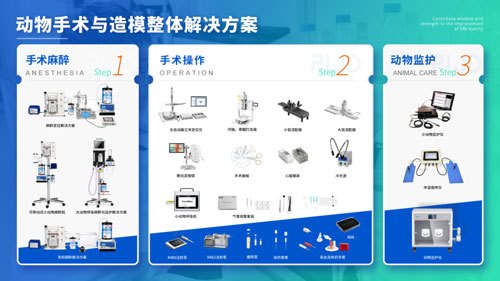 k8凯发缓释泵助力暨南大学张力课题组发表Science Advances文章（IF:13.6）