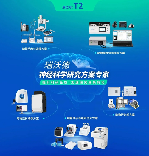 k8凯发与您相约CNS2024，共享神经科学学术盛宴