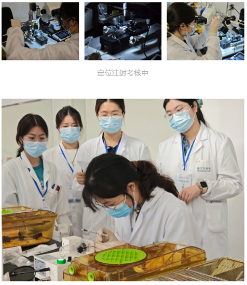 k8凯发